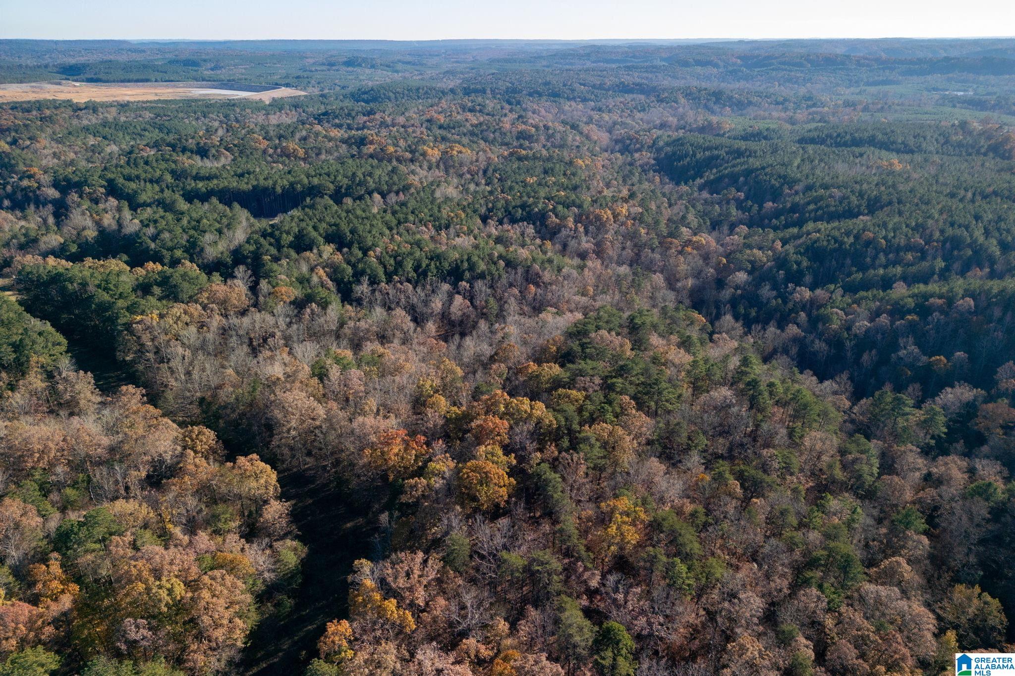 1575 Steve Crowder Road, Unit 1 Bessemer, AL 35023 - Photo 18 of 19 Gallery Image 18