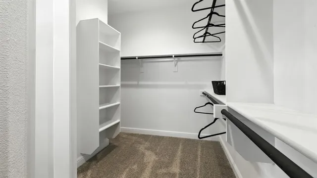 a bathroom with a shower and a sink