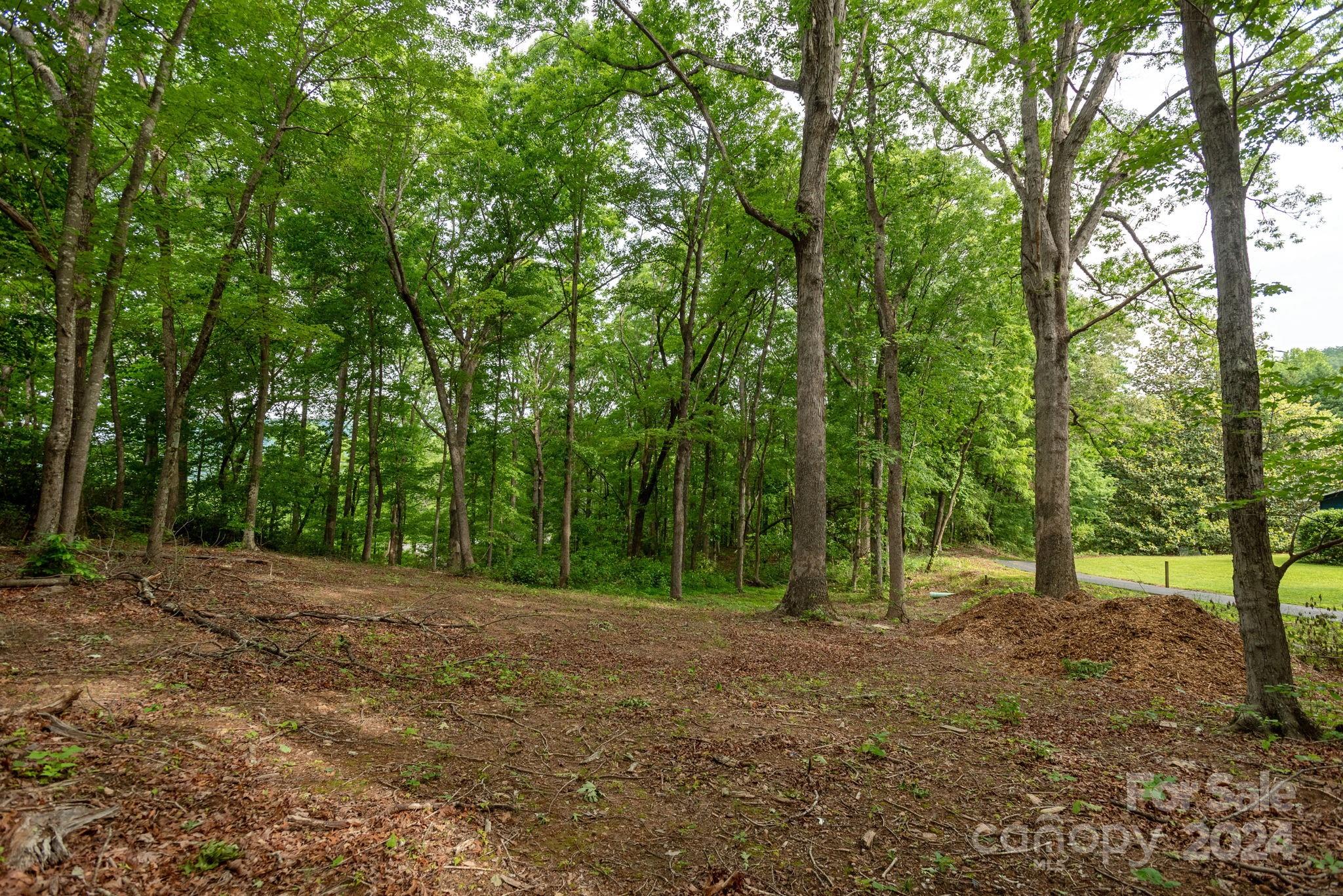 1489 Lynn Road Tryon, NC 28782 - Photo 41 of 46 a view of outdoor space with trees