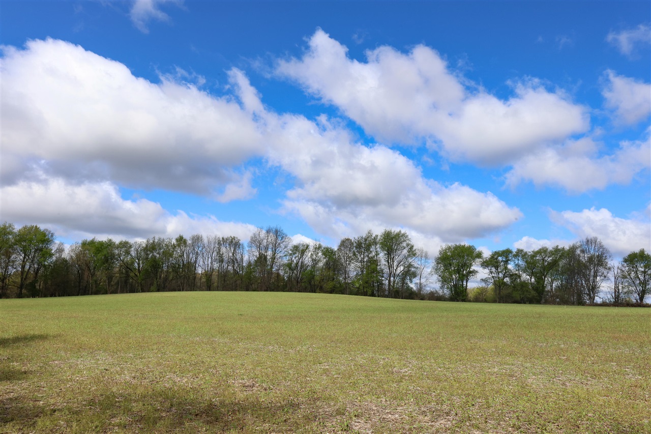 Hubbard Road Hanover, MI 49241 - Photo 8 of 15