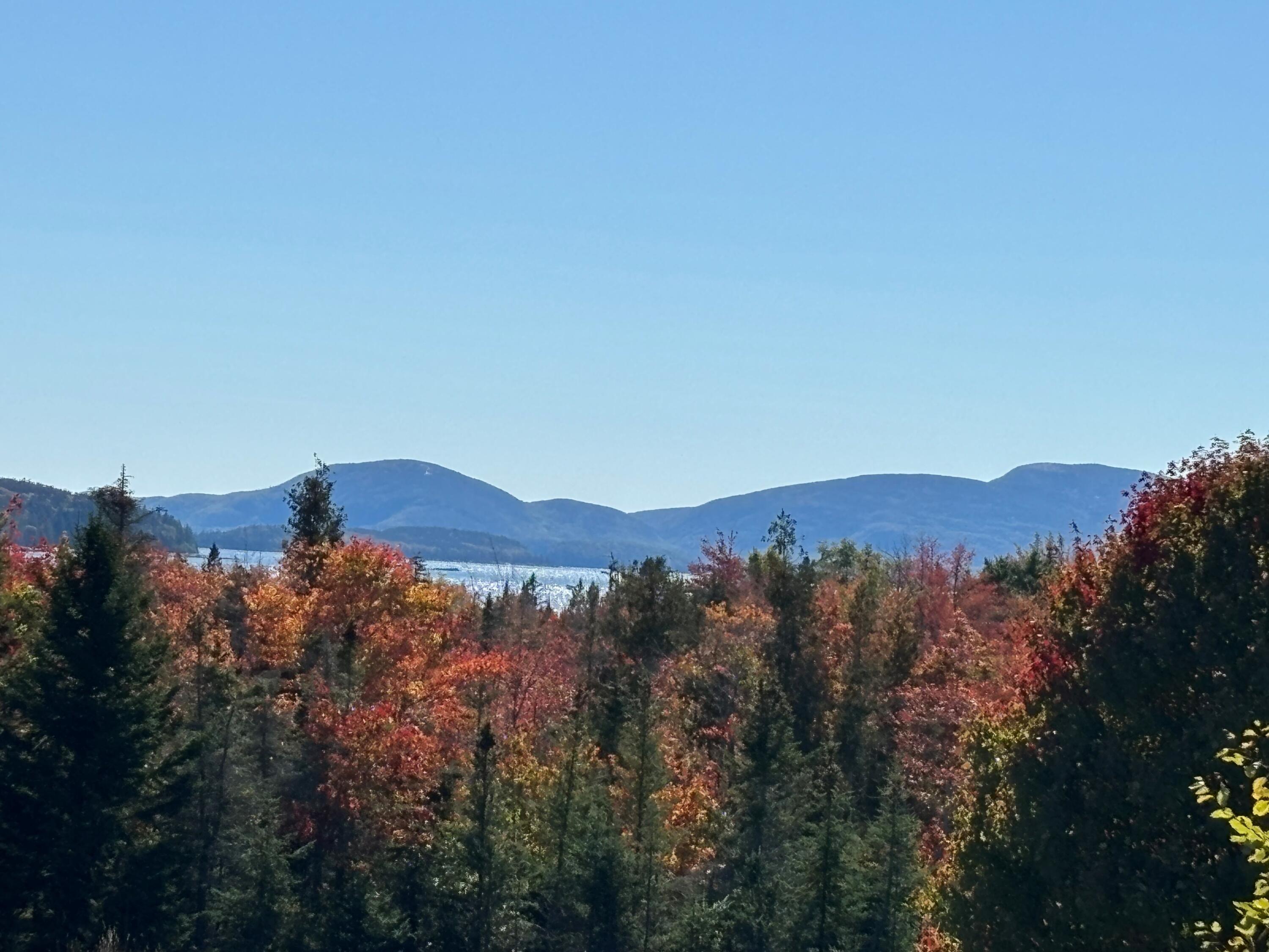 20 U.S. Rte 1 Steuben, ME 04680 - Photo 3 of 10 Amos4