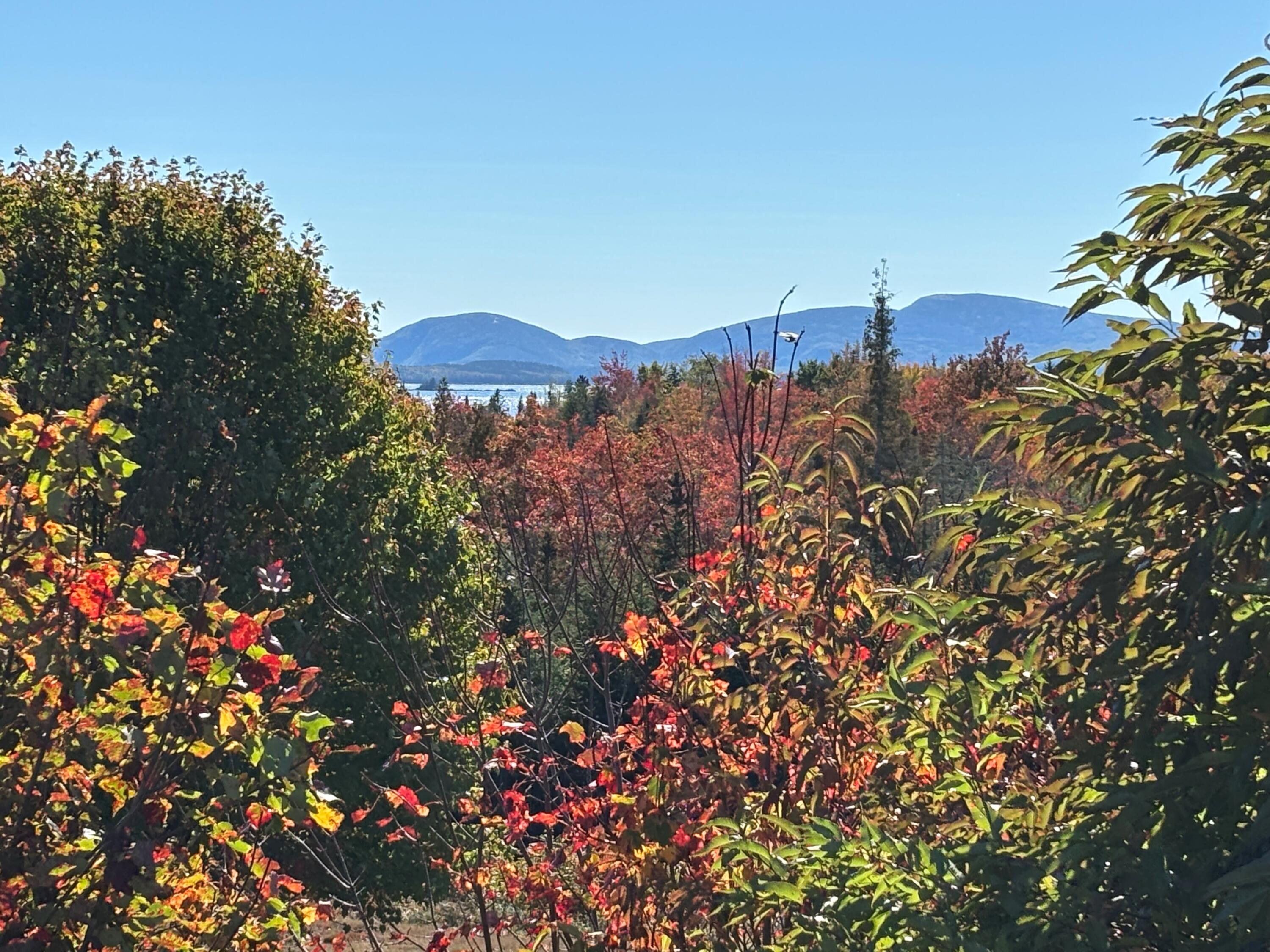 20 U.S. Rte 1 Steuben, ME 04680 - Photo 4 of 10 Amos1