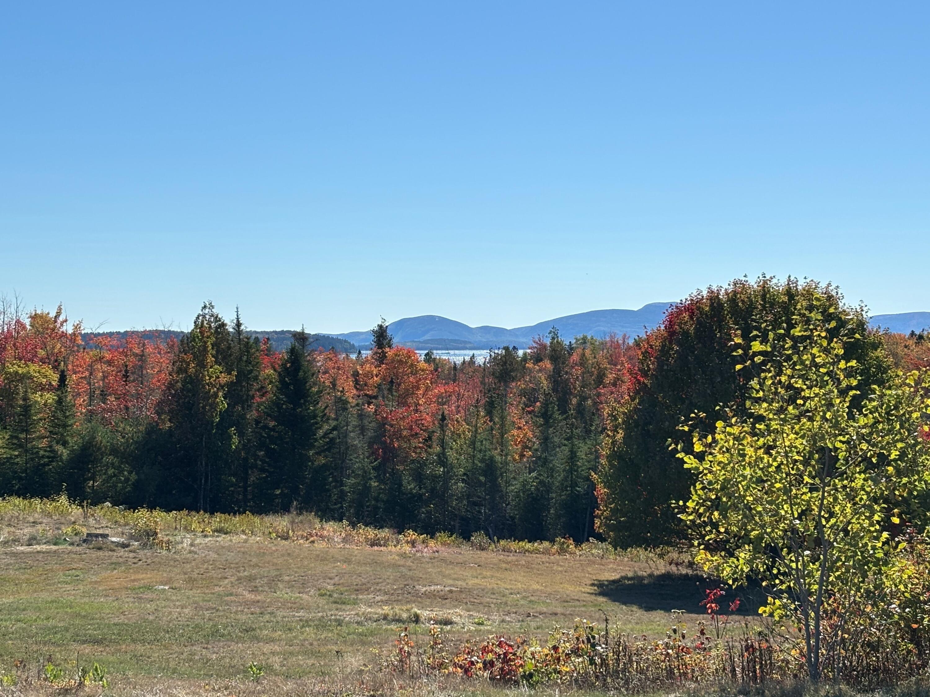20 U.S. Rte 1 Steuben, ME 04680 - Photo 5 of 10 Amos3