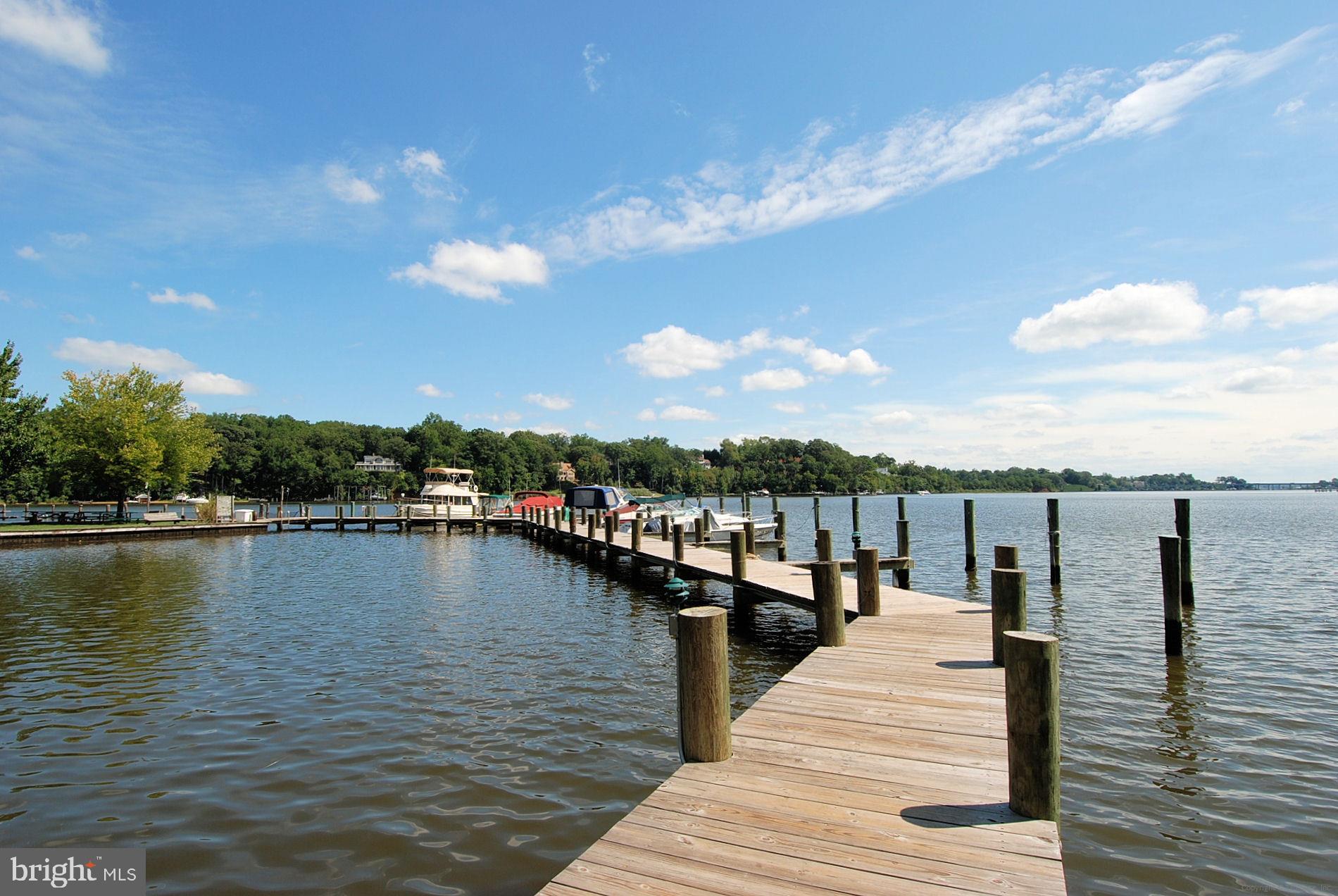 507 Walnut Drive Riva, MD 21140 - Photo 6 of 9 a view of a lake