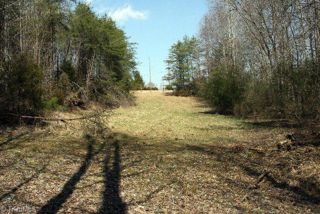 4405 Hurt Road Jonesville, NC 28642 - Photo 7 of 11 open land & woods