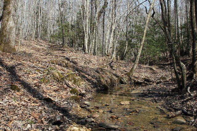 4405 Hurt Road Jonesville, NC 28642 - Photo 9 of 11 creek