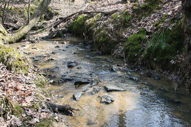 4405 Hurt Road Jonesville, NC 28642 - Photo 10 of 11 creek