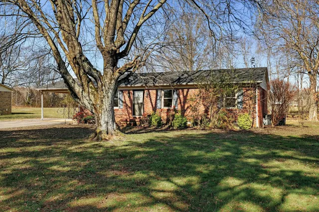 a view of yard with tree