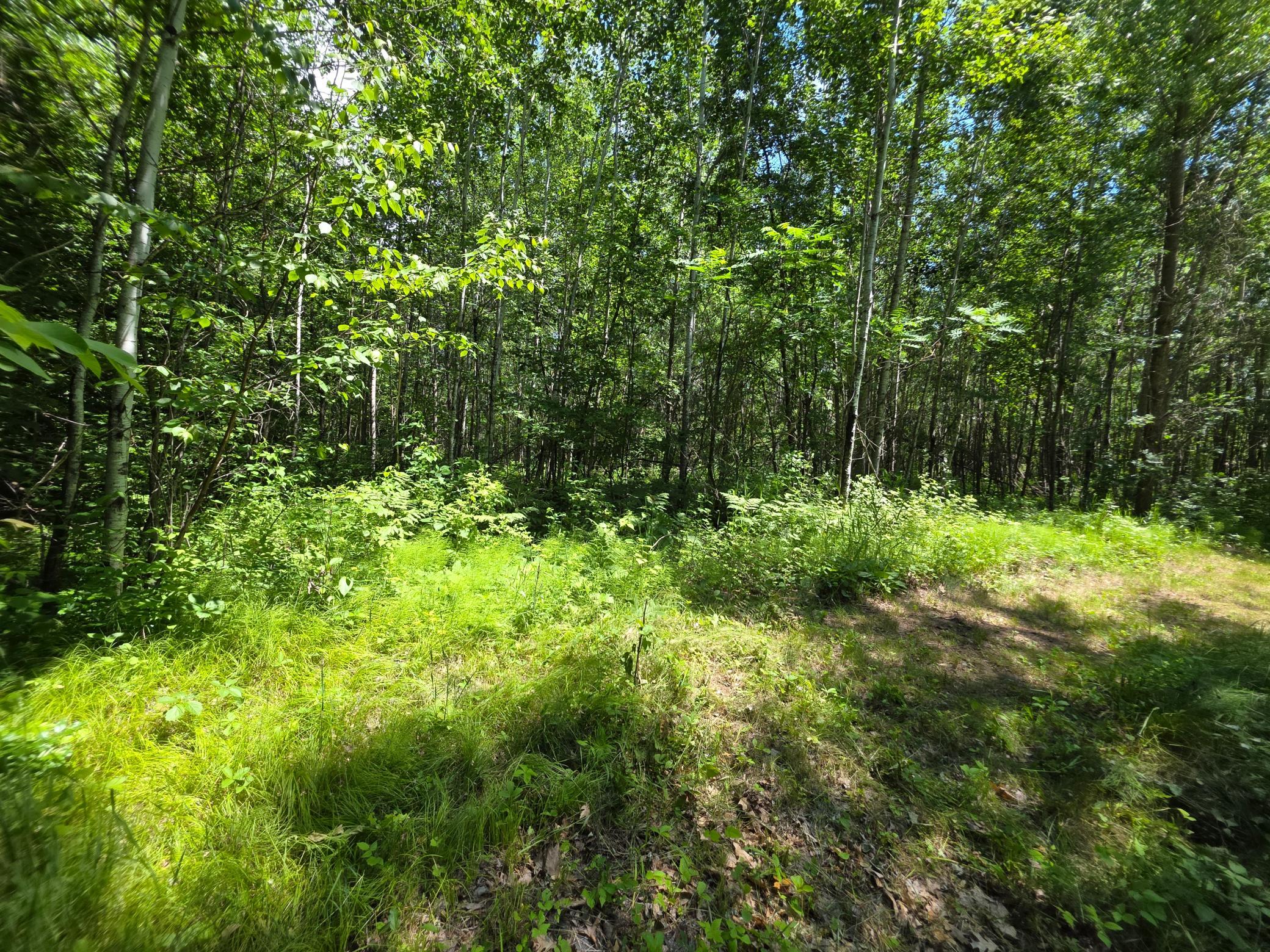 5098 177th Street Milaca, MN 56353 - Photo 25 of 44