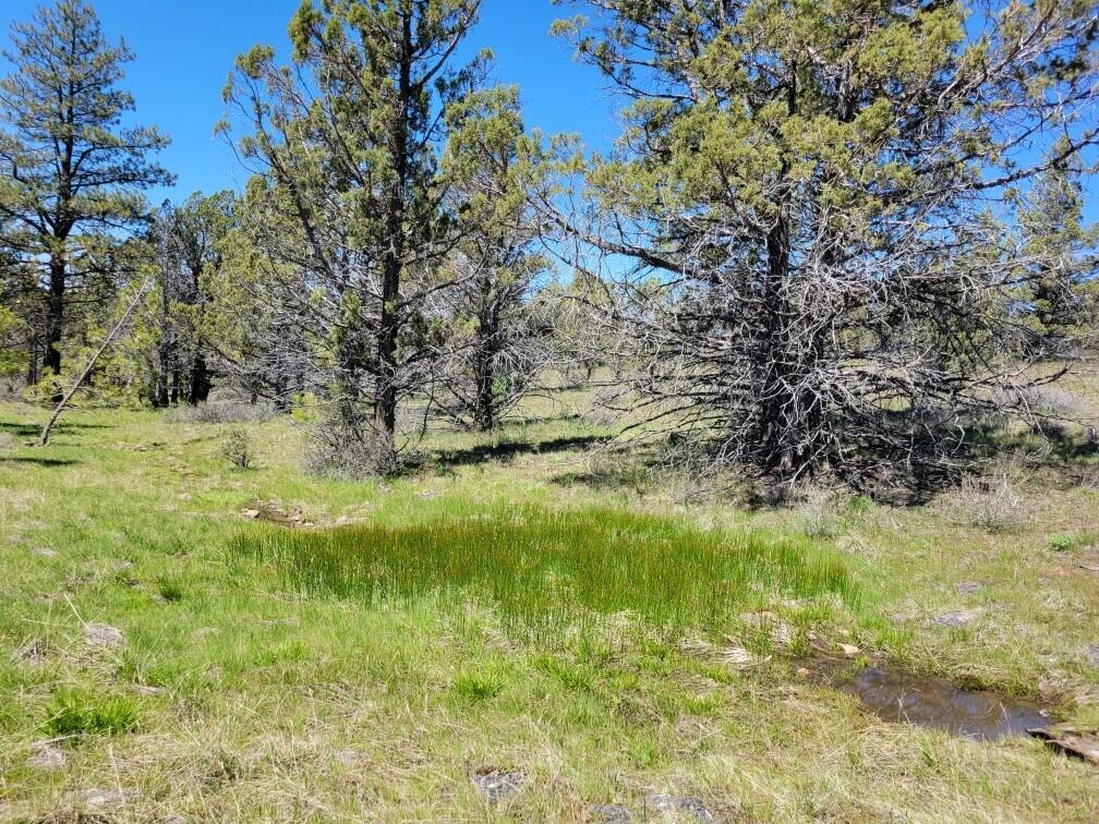 103 Southeast Tbd Road Prineville, OR 97754 - Photo 28 of 35 thumbnail_Resized_20240511_122245_171561