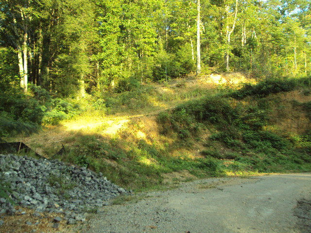 508 Gnatty Branch Road Sevierville, TN 37876 - Photo 3 of 10 DSC06681