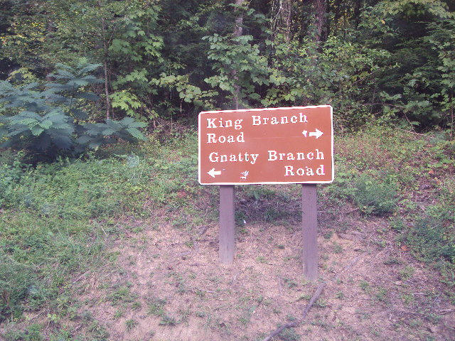 508 Gnatty Branch Road Sevierville, TN 37876 - Photo 4 of 10 DSC06677
