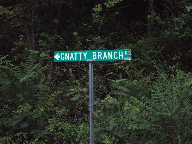 508 Gnatty Branch Road Sevierville, TN 37876 - Photo 5 of 10 DSC06678