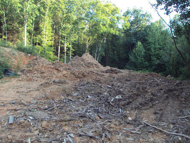 508 Gnatty Branch Road Sevierville, TN 37876 - Photo 7 of 10 DSC06683