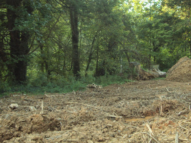 508 Gnatty Branch Road Sevierville, TN 37876 - Photo 10 of 10 DSC06686
