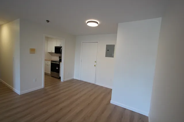 a view of empty room with wooden floor