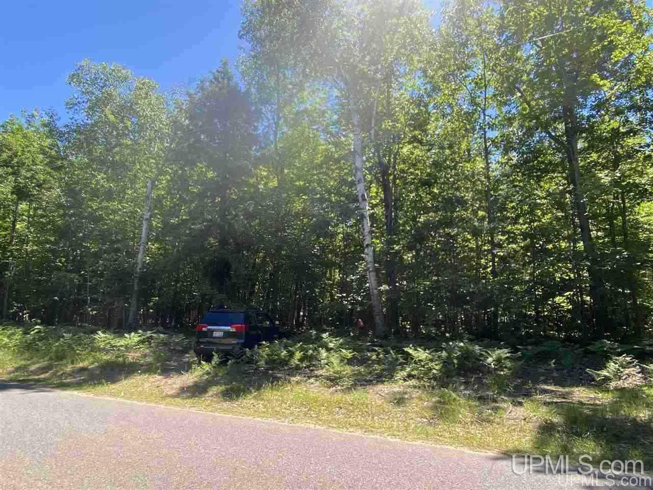 3423 Co Road Big Bay, MI 49808 - Photo 26 of 27