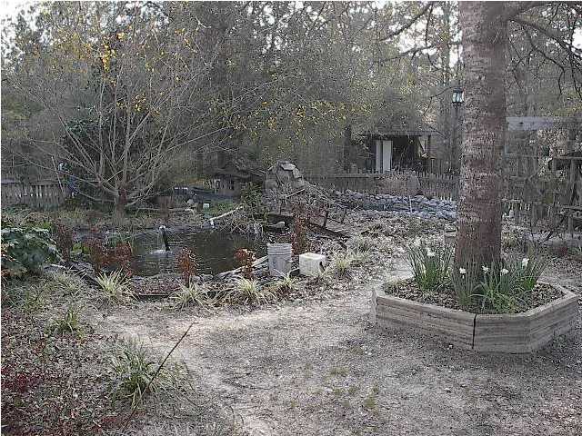 3983 Chardee Road Crestview, FL 32539 - Photo 3 of 4