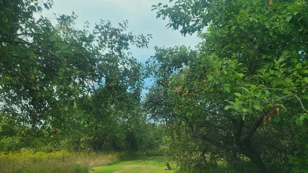 $385,900 | 350 High Meadow Road, Perham, ME 04766