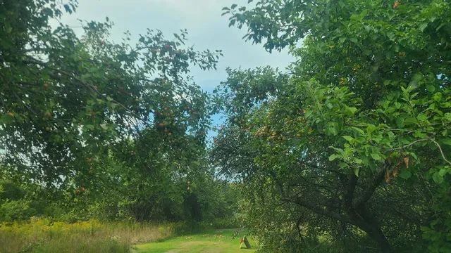 $400,000 | 350 High Meadow Road, Perham, ME 04766