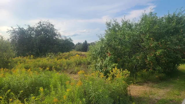 $400,000 | 350 High Meadow Road, Perham, ME 04766