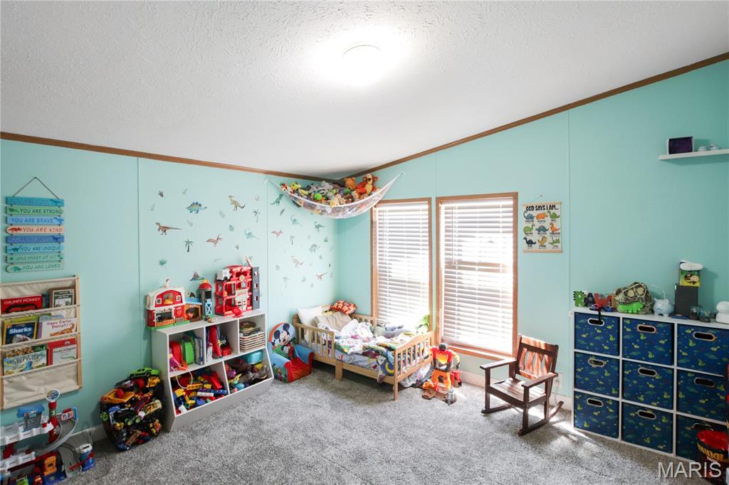 131 East Springfield Road Gerald, MO 63037 - Photo 11 of 20