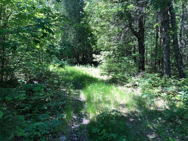 76 Labrador Lane Addison, ME 04606 - Photo 8 of 20 IMG_2406