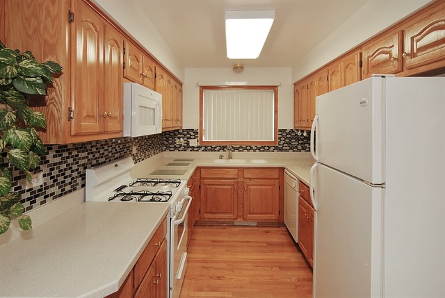 7290 Ogden Avenue, Unit 2 Riverside, IL 60546 - Photo 4 of 10 a kitchen with a refrigerator a sink and a stove