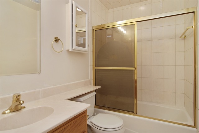 7290 Ogden Avenue, Unit 2 Riverside, IL 60546 - Photo 9 of 10 a bathroom with a sink a toilet and shower