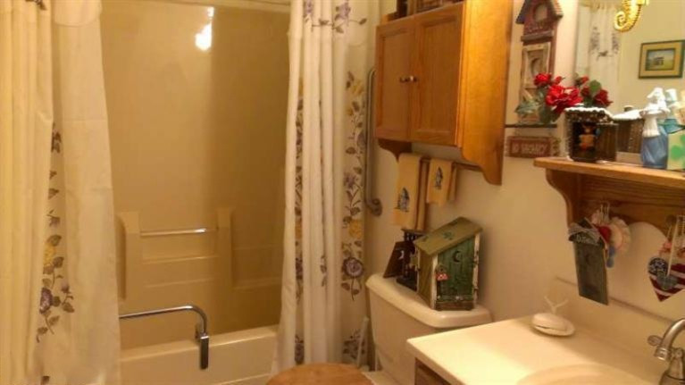 8875 East Springhill Road Hesperia, MI 49421 - Photo 8 of 15 Additional Photo
