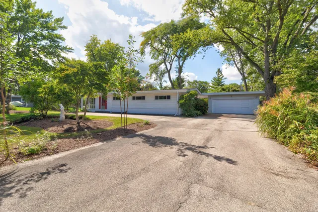 a view of a yard with plants and a tree