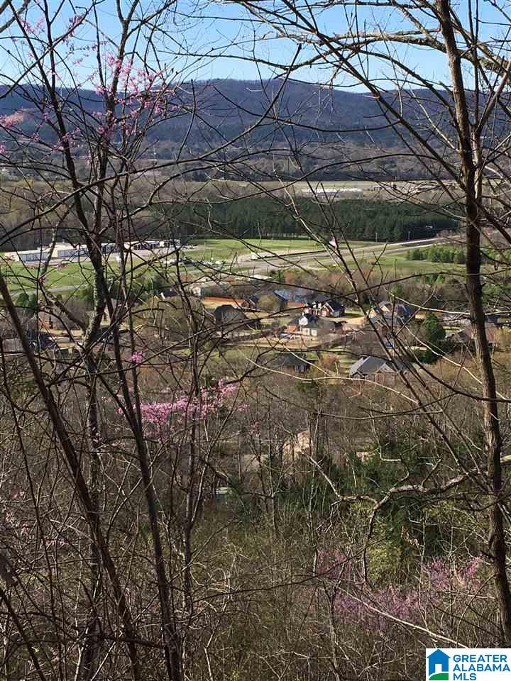 230 County Line Road Oxford, AL 36203 - Photo 21 of 50