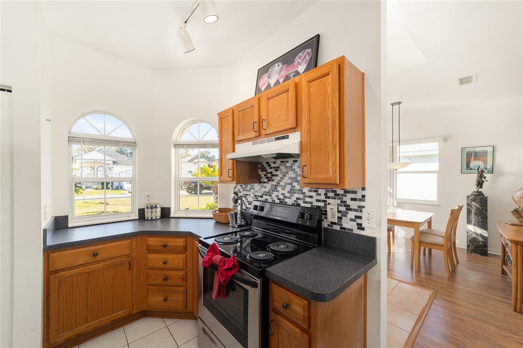 7393 Southwest 112th Place Ocala, FL 34476 - Photo 20 of 41