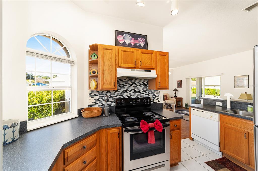 7393 Southwest 112th Place Ocala, FL 34476 - Photo 22 of 41