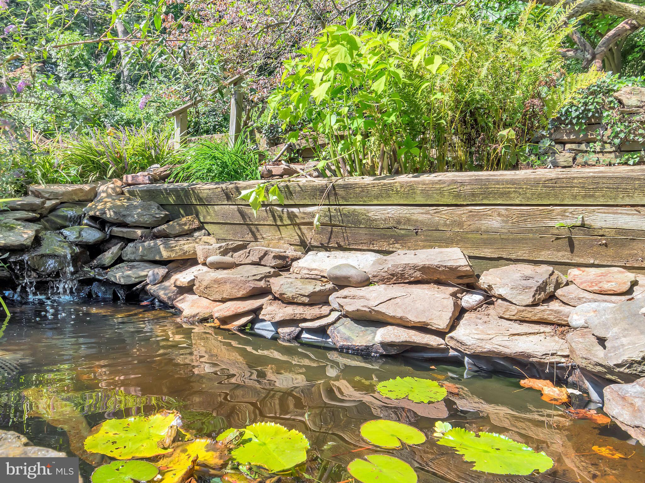 126 Bancroft Road Kennett Square, PA 19348 - Photo 41 of 43 The most amazing frog pond