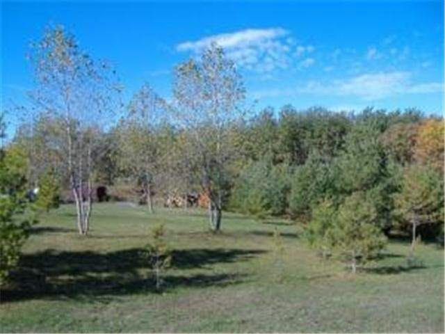 21144 Country Oak Loop Fergus Falls, MN 56537 - Photo 7 of 21 Gallery Image 7