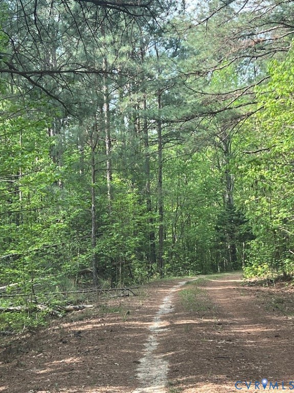 7475 Richmond Road Midlothian, VA 23113 - Photo 2 of 2 Private driveway to 4.127 ACRES!