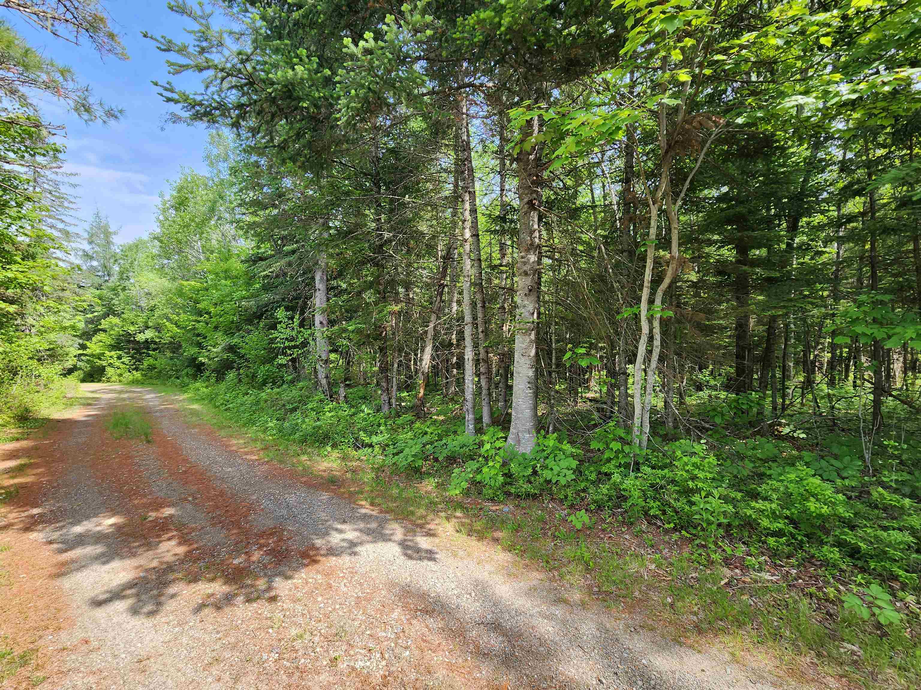 0 Boise Cascade Road Dummer, NH 03588 - Photo 7 of 17