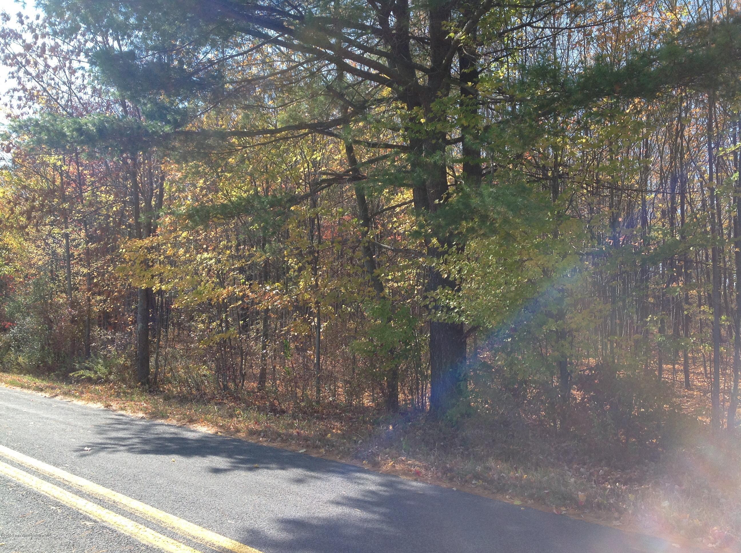 247 State Rte 1002 Tunkhannock, PA 18657 - Photo 3 of 6 Land