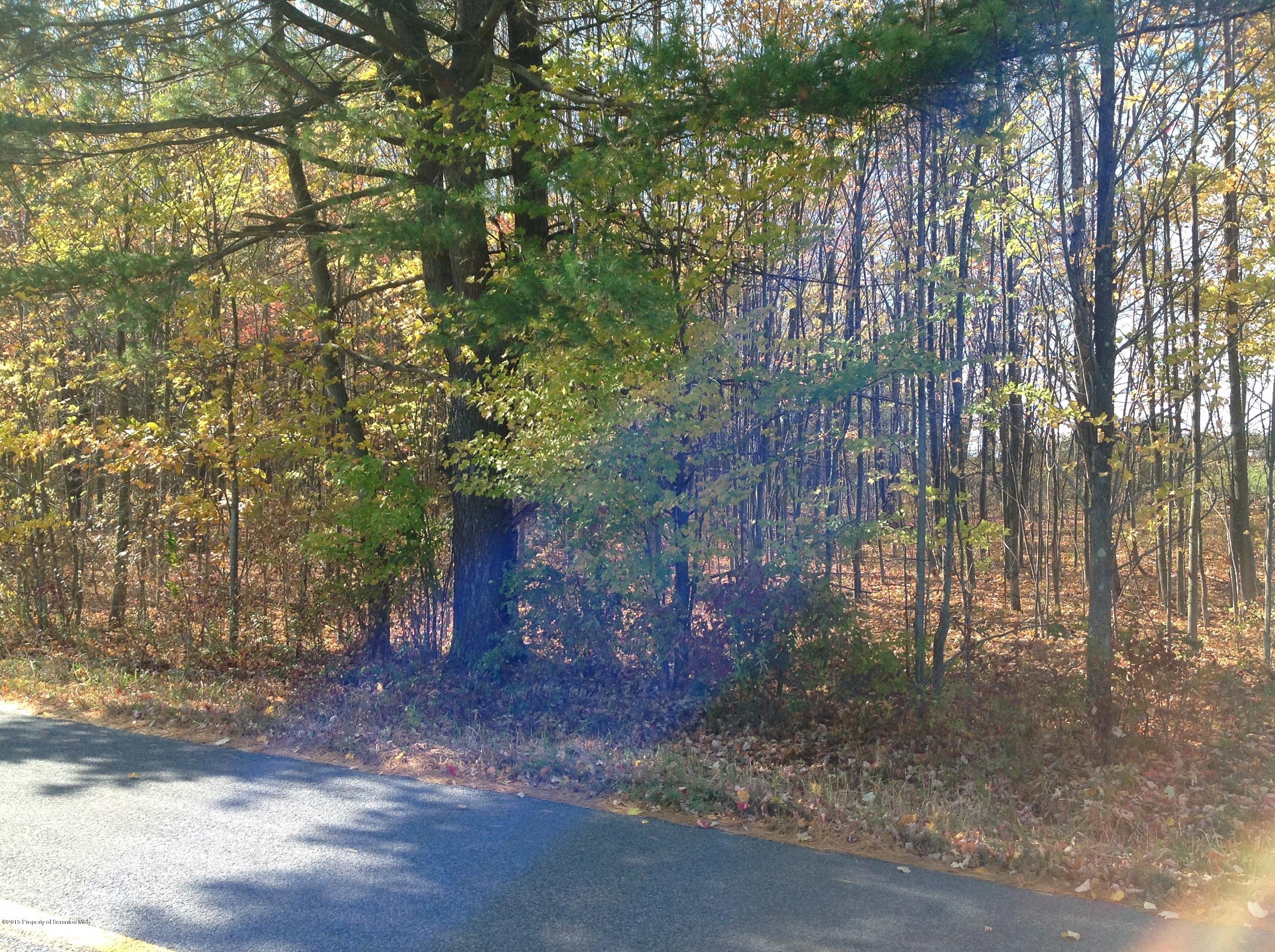 247 State Rte 1002 Tunkhannock, PA 18657 - Photo 5 of 6 Land