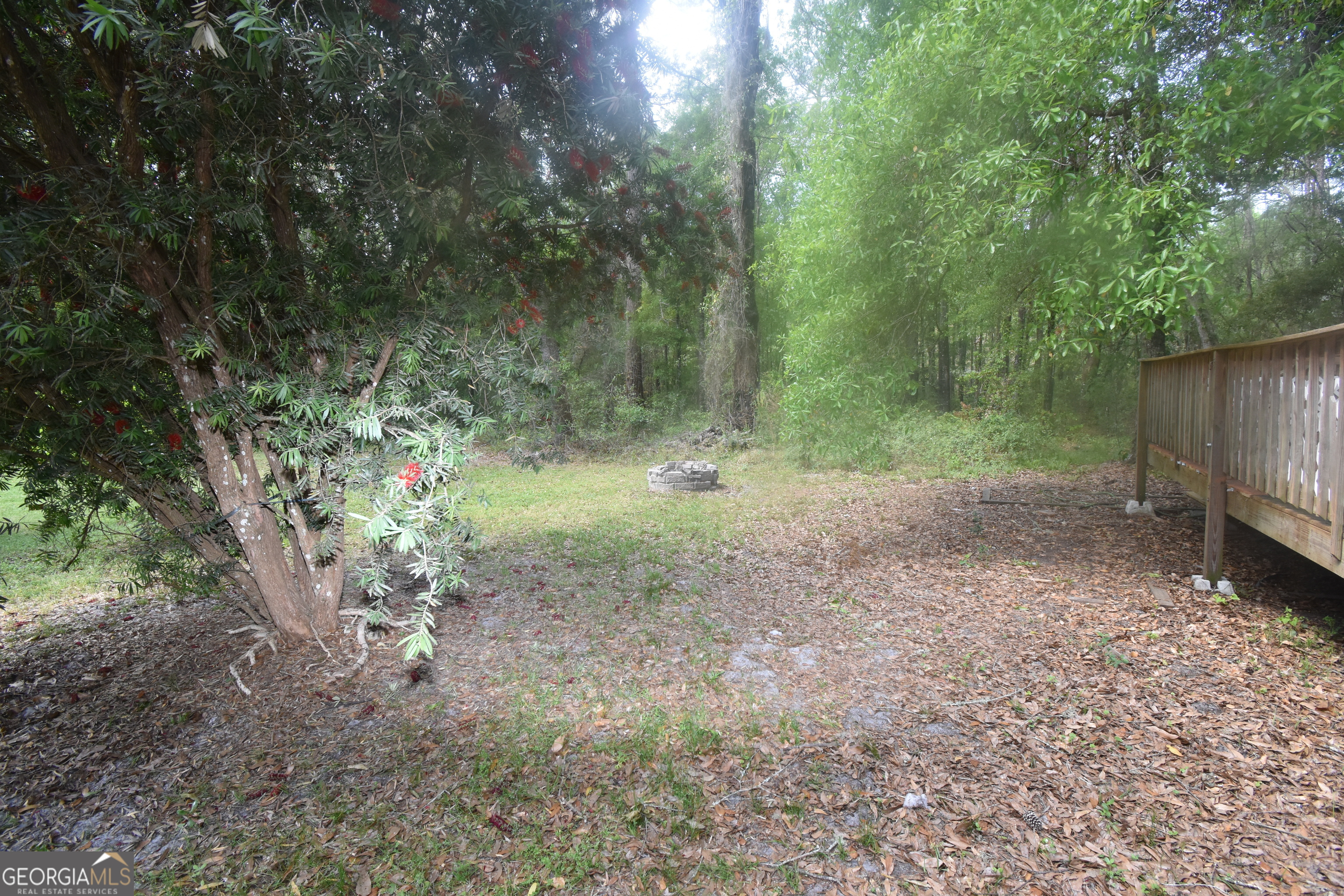 2353 Greenville Road Kingsland, GA 31548 - Photo 19 of 21 a view of a forest with trees