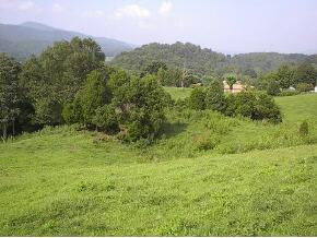 0 Rex Harrell Road Elizabethton, TN 37643 - Photo 1 of 8 Photo 1
