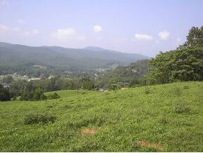 0 Rex Harrell Road Elizabethton, TN 37643 - Photo 8 of 8 Photo 8