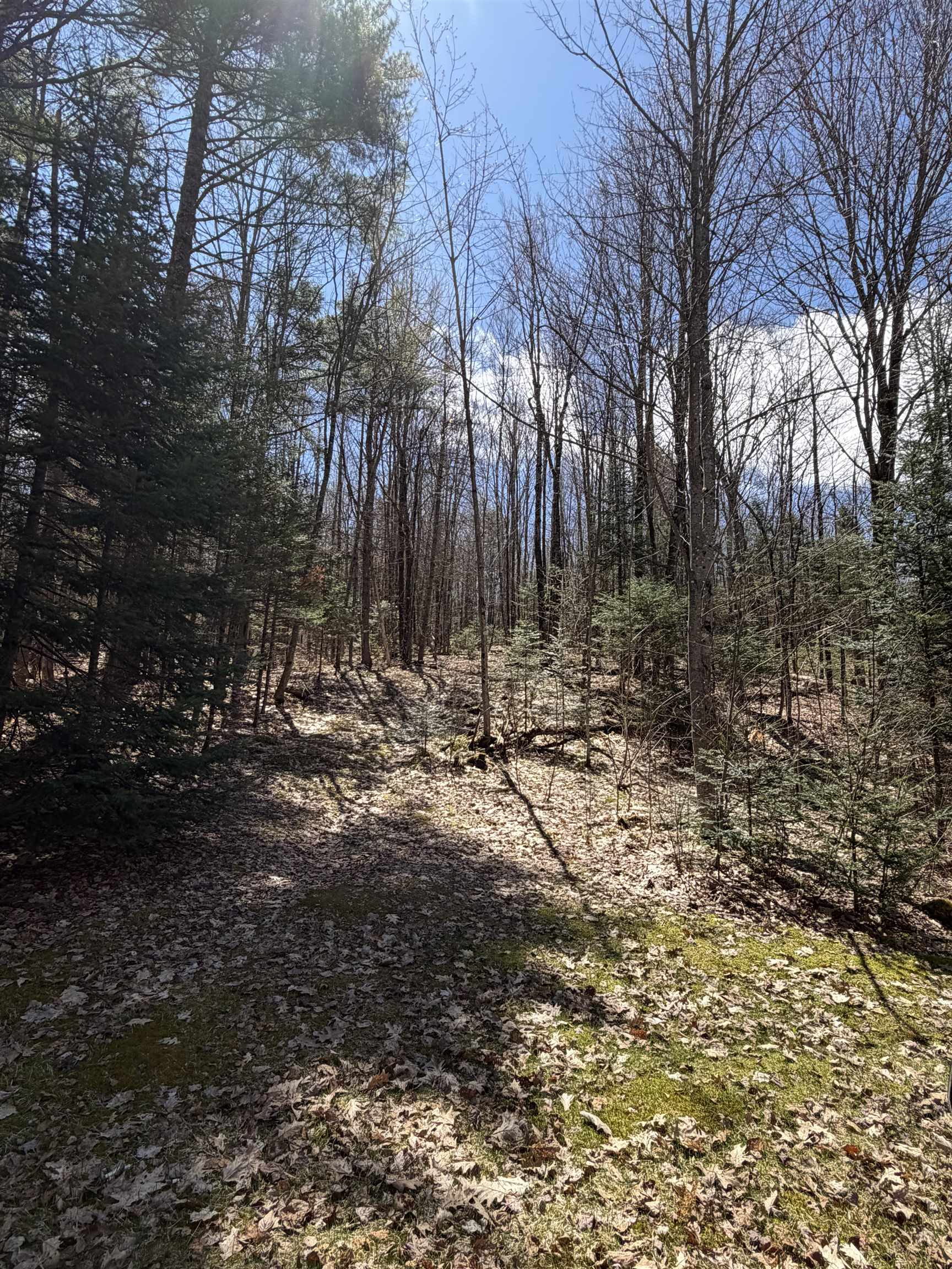 36 Mountain Road Dalton, NH 03598 - Photo 50 of 53