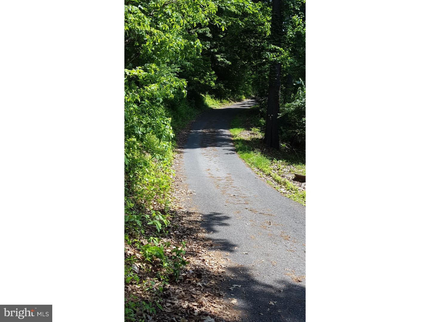 25 Kutz Road Temple, PA 19560 - Photo 21 of 22 Driveway