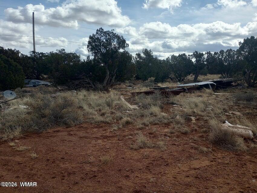 3958 Apache Road Snowflake, AZ 85937 - Photo 2 of 6 a view of a dry yard with trees