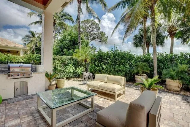 a view of a patio with couches and a potted plant on a table