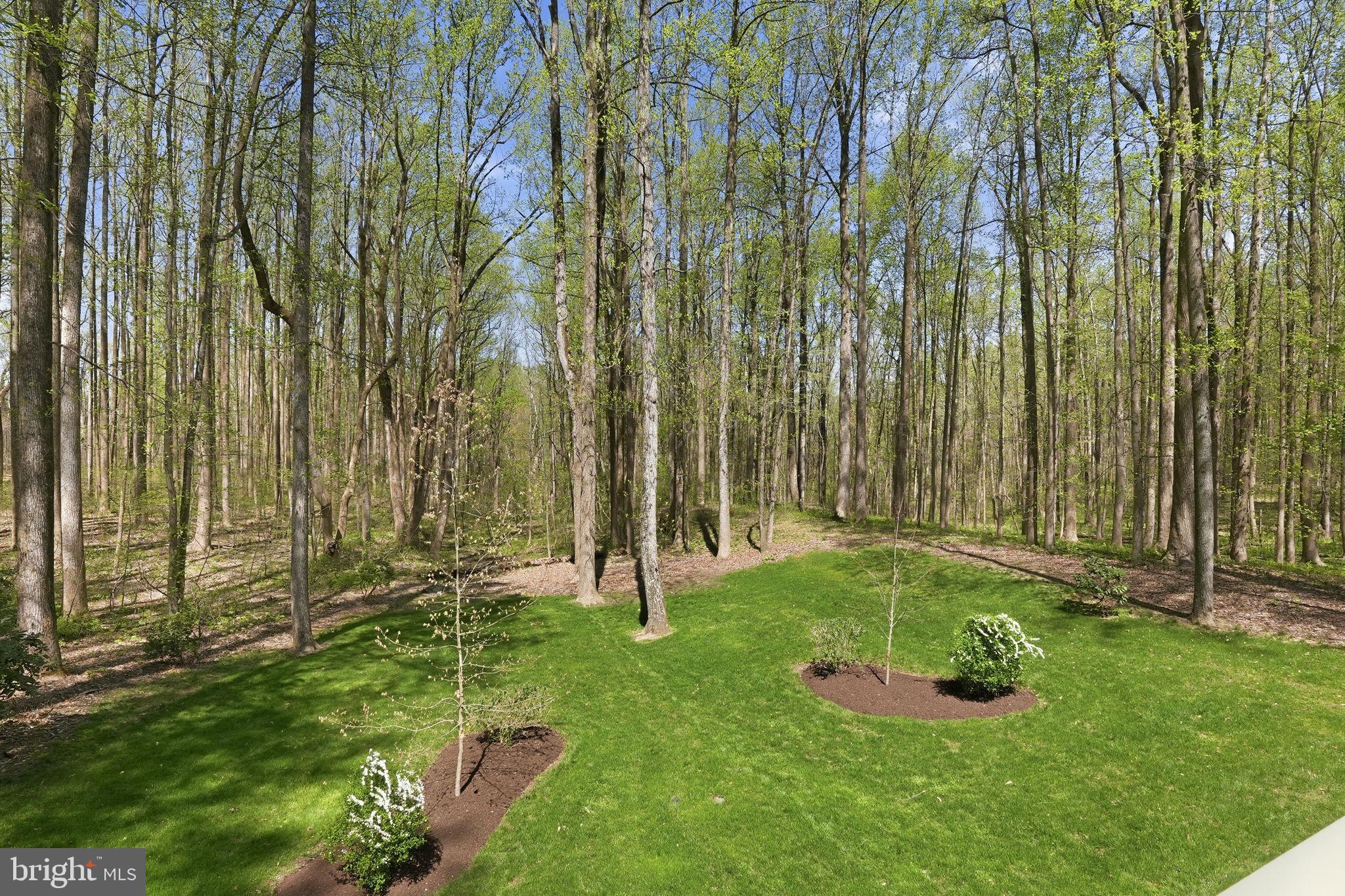 2012 Cortland Road Davidsonville, MD 21035 - Photo 54 of 55 Gallery Image 54