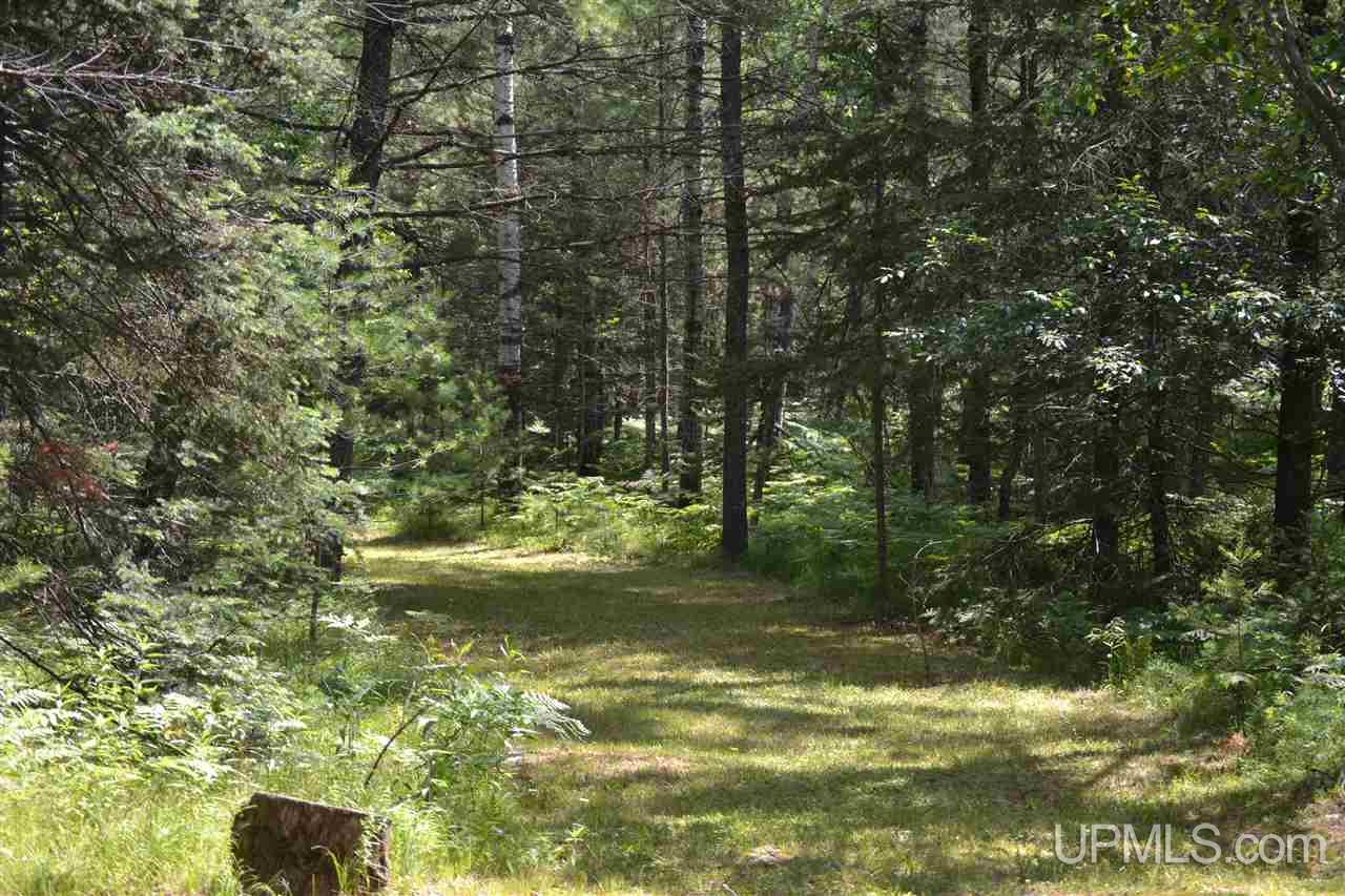 15689 North Cty Rd 577 Carney, MI 49812 - Photo 10 of 12 Gallery Image 10