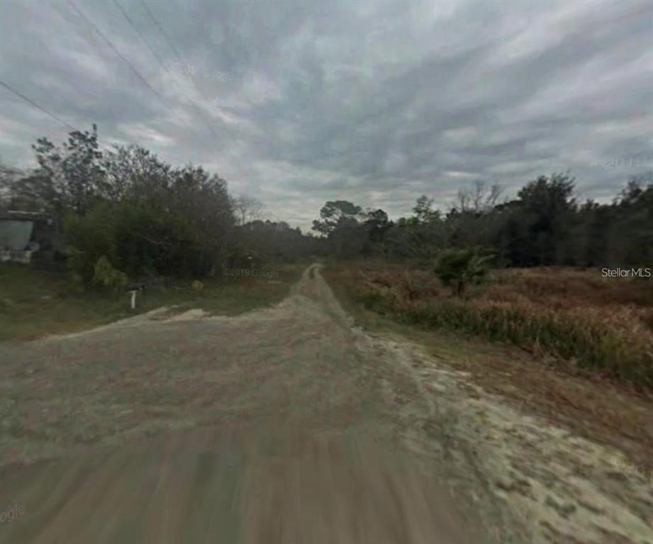 17314 Putter Lane Spring Hill, FL 34610 - Photo 5 of 9 a view of a dry yard with trees
